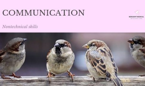 コミュニケーションをとる4羽のスズメ